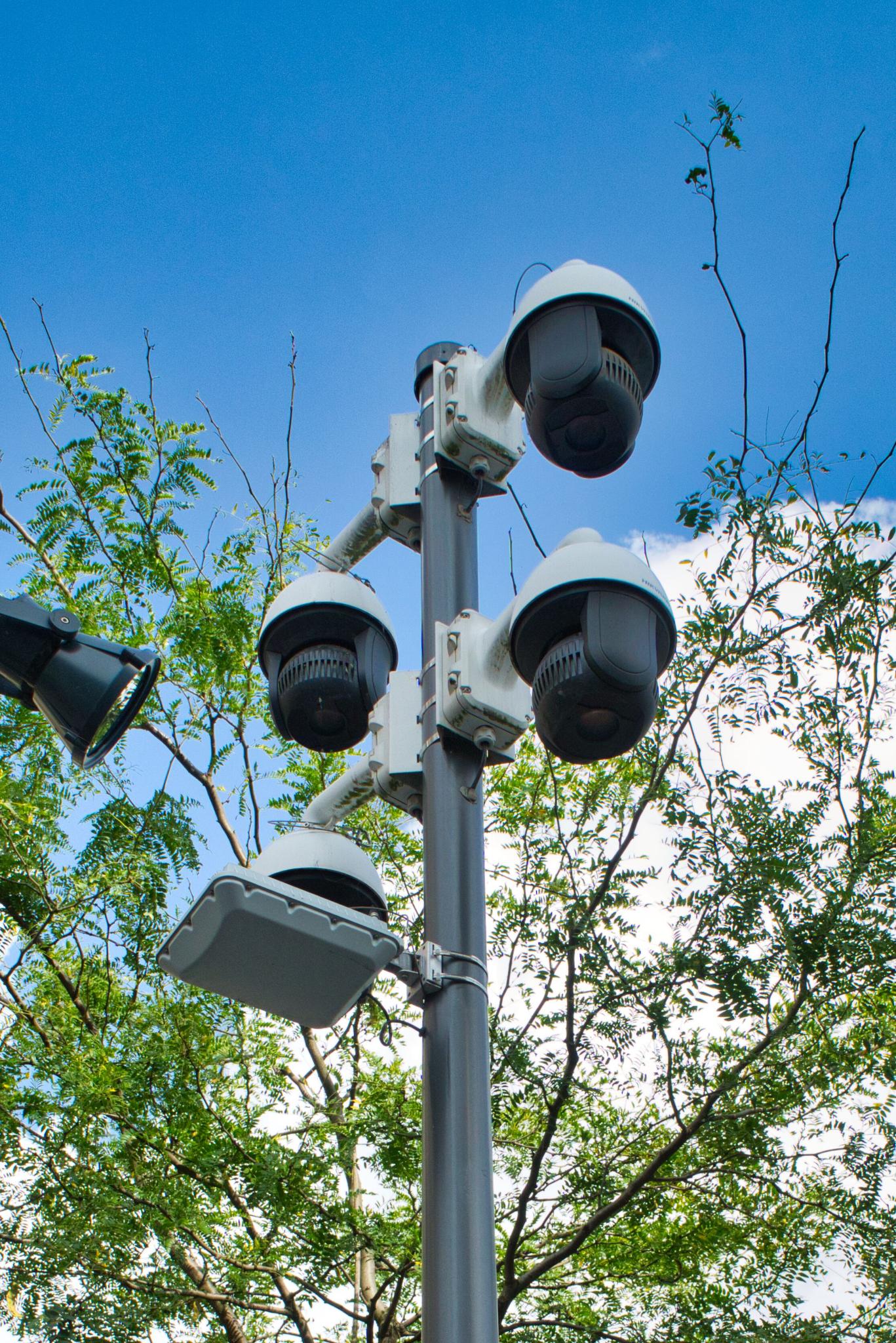 diskurs-um-innere-sicherheit-afd-watch-hamburg